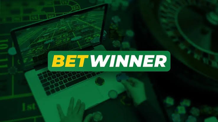 Discover the Thrills of BetWinner Online Casino